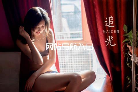 网站导航入口